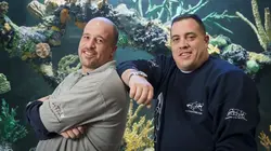 Aquamen Des requins pour les Sharks