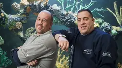 Aquamen Des requins pour les Sharks