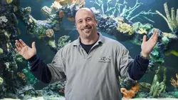 Aquamen Des requins pour les Sharks