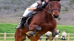 Au galop ! Firfol à Deauville