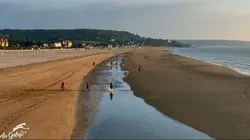 Au galop ! Firfol à Deauville