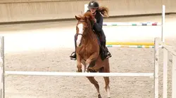 Au galop ! Un défilé extraordinaire
