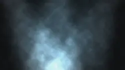 Visuel de Bonne Année 2022 !