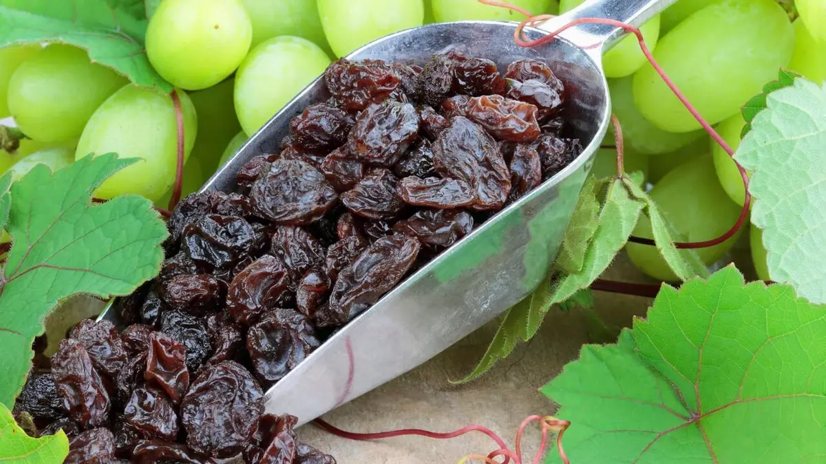 Comment c'est fait Tambours de guérison / Raisins secs / Stéréoscopes / Microphones à ruban