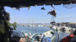 Echappées belles Les visages de l'Hérault