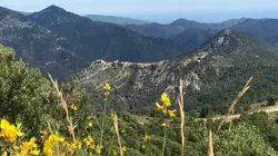 Visuel de Echappées belles