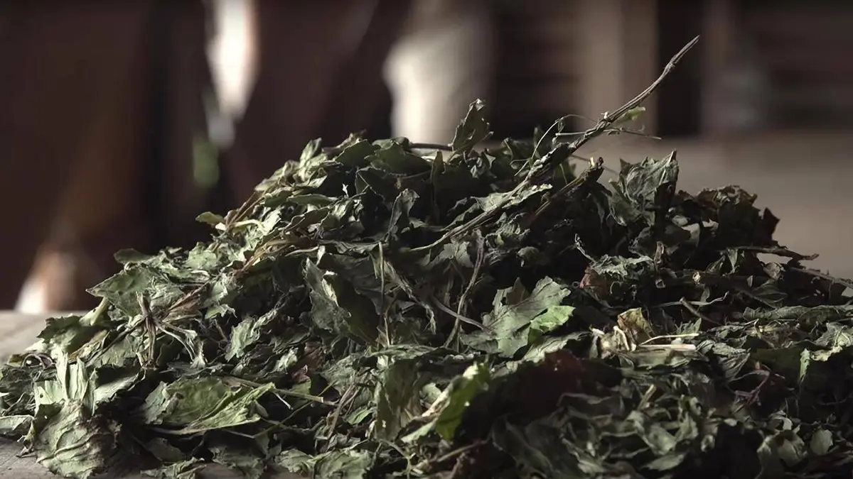 Epicerie fine, terroirs gourmands La Côte d'Albâtre