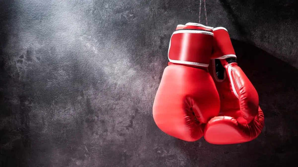 Format Boxe Sandy Ryan - Mikaela Mayer