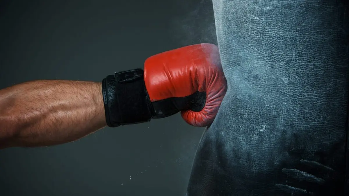 Format Boxe