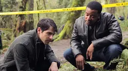 Visuel de Grimm