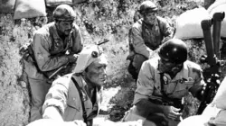 Visuel de La bataille d'El Alamein