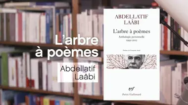 La p'tite librairie