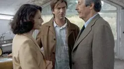 Visuel de Les boeuf-carottes