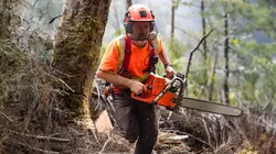 Sur Discovery Channel à 22h00 : Les derniers bûcherons