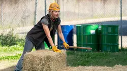 Visuel de Leverage: Redemption