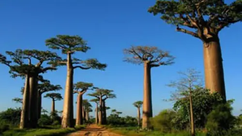 Mada Trek Madatrek se rend utile
