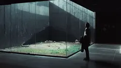 Visuel de Memoria