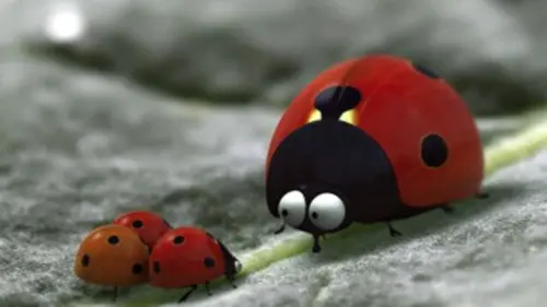 Minuscule S01E24 Pique-nique