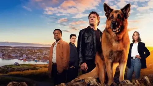 Hudson & Rex : que réserve la saison 7 diffusée sur France 3 à partir de ce dimanche ?
