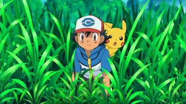 Pokémon