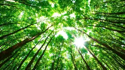 Sale temps pour la planète