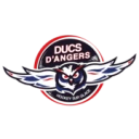 Ducs d’Angers