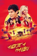 Affiche Alerte à Malibu S09E17 Une équipe de choc