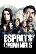 Affiche Esprits criminels S14E08 Ashley