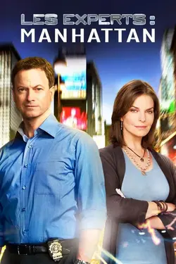Affiche Les experts : Manhattan S04E09 Pièces montées