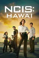 Affiche NCIS : Hawaï S02E20 Amnésie