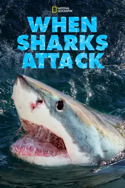 Affiche Sharks Attack ! Furie en Floride