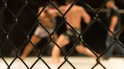 The Ultimate Fighter S29E10 Episode 10