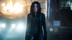 Visuel de Underworld : Blood Wars